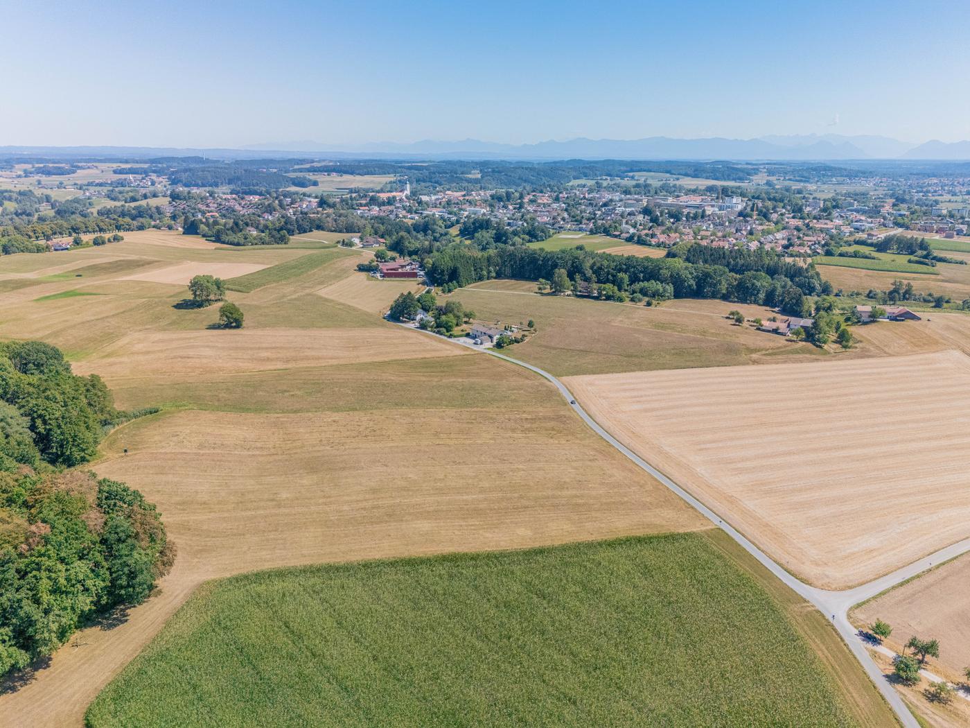 Wiesenfläche mit idealer Bewirtschaftungsmöglichkeit